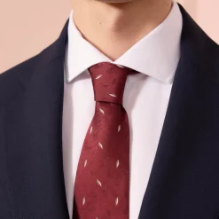HAST Cravate en soie bordeaux à motifs><noscript><img width=