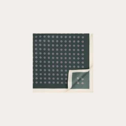 HAST Pochette en soie verte à motifs> Pochettes