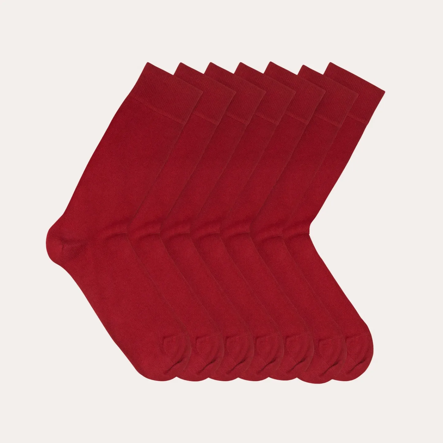 HAST Semainier de chaussettes bordeaux> Chaussettes